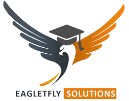 eagle fly solutions eagle fly solution