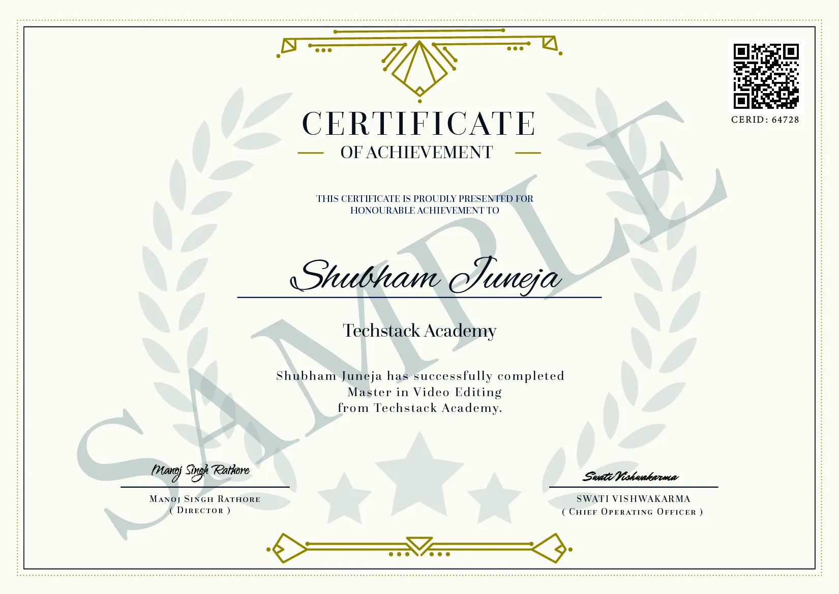 Master in Video Editing Institute Certificate